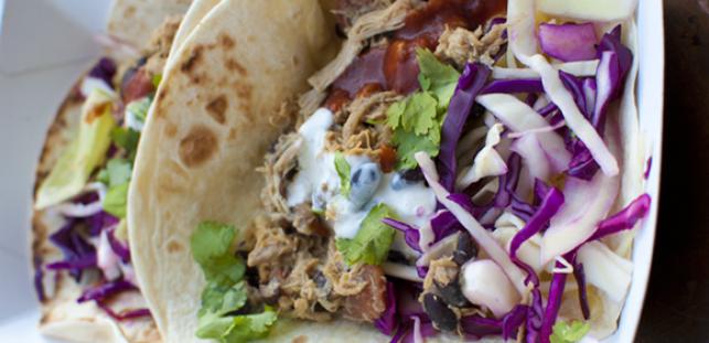 Taco Cool Pic2